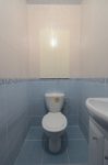 Унитаз, ревизионные створки