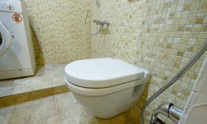 Санузел в хрущевке, отделка мозаичной плиткой